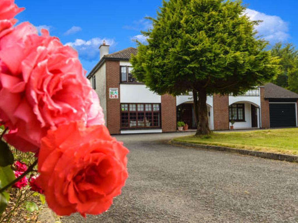Killowen House B&B Drogheda Exteriör bild